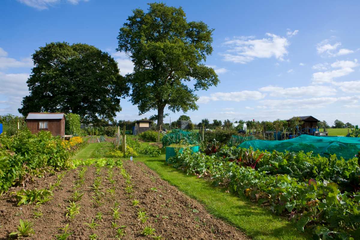 Gartengrundstück kaufen oder pachten im Main-Tauber-Kreis — 