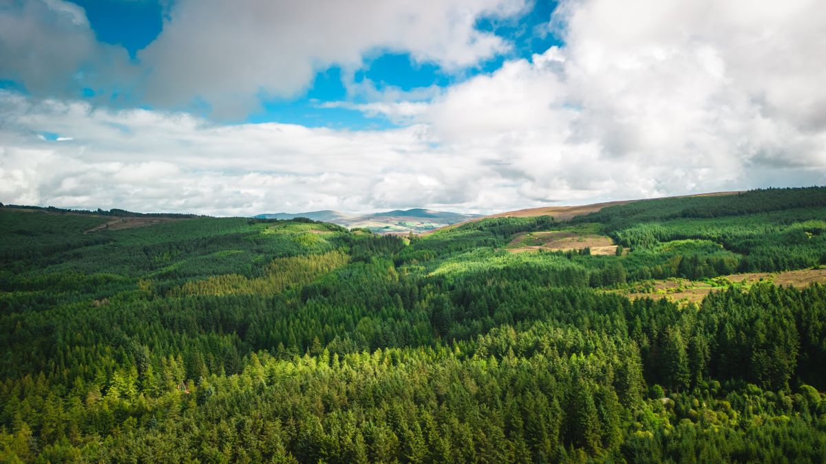 Natur entdecken vor der Haustür - Naturschätze finden