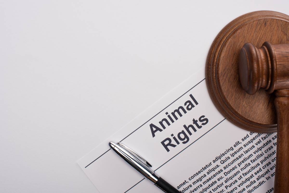 Petition starten im Main-Tauber-Kreis — so funktioniert es r
